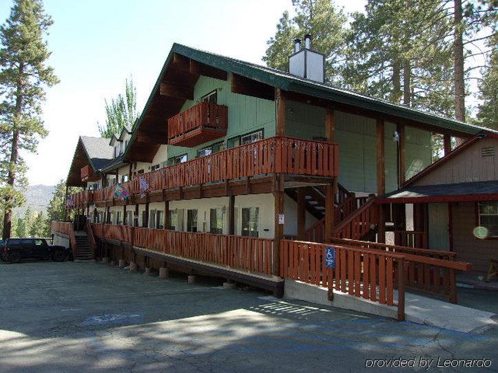 Honey Bear Lodge & Cabins Big Bear Lake Ngoại thất bức ảnh