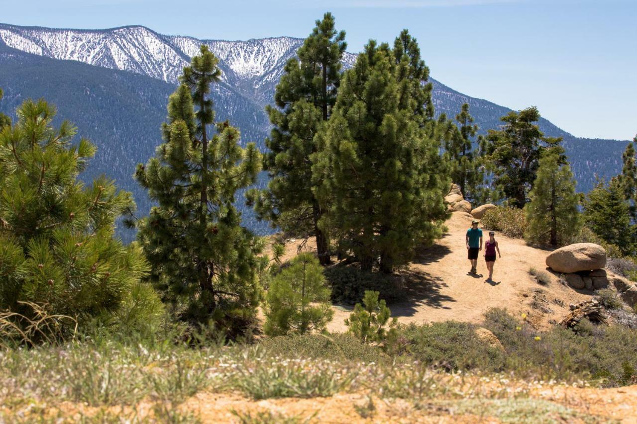 Honey Bear Lodge & Cabins Big Bear Lake Ngoại thất bức ảnh