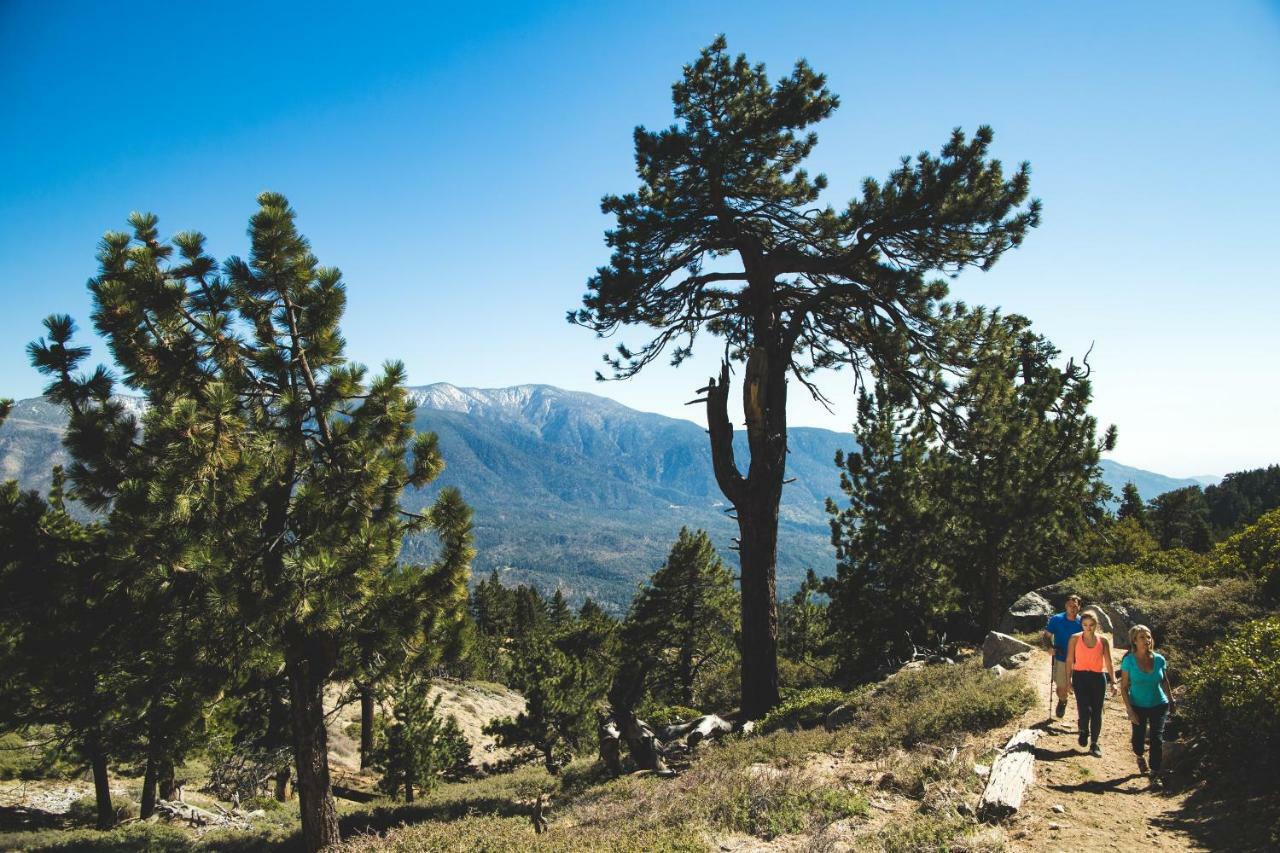 Honey Bear Lodge & Cabins Big Bear Lake Ngoại thất bức ảnh